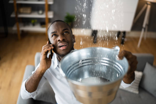 Best Commercial water damage restoration  in Kill Devil Hills, NC