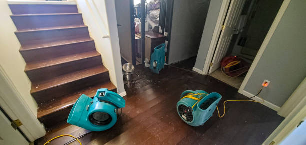 Best Water damage restoration near me  in Kill Devil Hills, NC