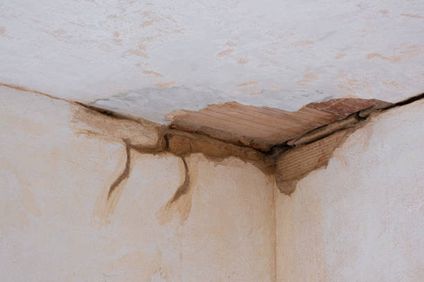  Kill Devil Hills, NC Water damage restoration Pros
