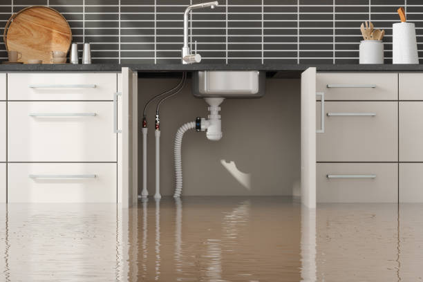 Best 24/7 water damage repair  in Kill Devil Hills, NC