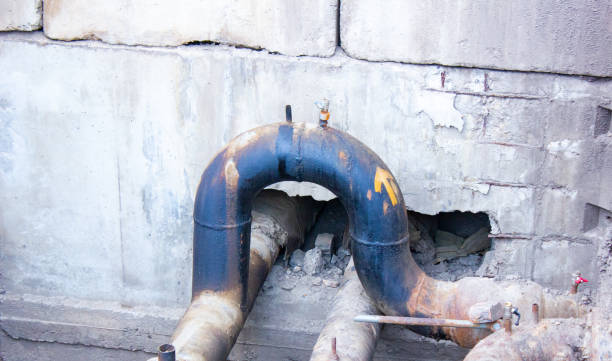Best Mold removal after water damage  in Kill Devil Hills, NC